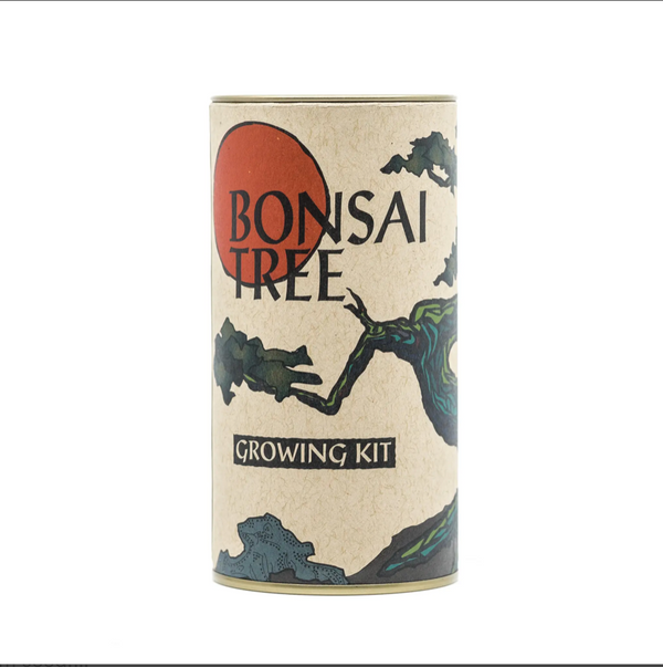 Bonsai Tree - Seed Grow Kit